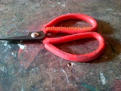 GUNTING KODOK NO.1 BESAR BISON