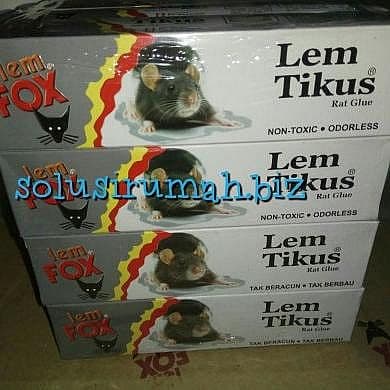 LEM TIKUS FOX 75G TUBE PROMO fox asli 75 gram