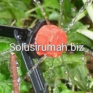 Dripper Nozzle 360 Micro Mikro Drip Sprayer Sprinkle Spray Taman 1biji