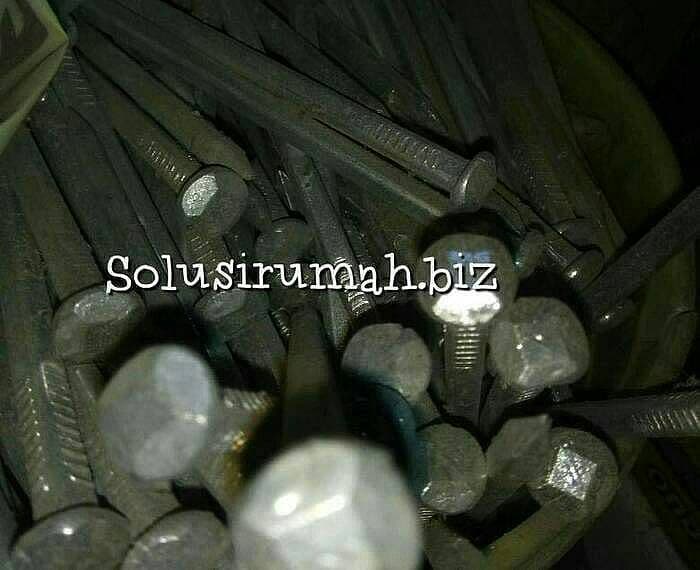 per 100g PAKU KAPAL BOAT 6 " inch 6' LAPISAN ANTIKARAT