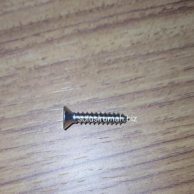 SEKRUP 3/4 X 6 + SS 304 STAINLESS KEPALA GEPENG SKRUP STAINLES 1BIJI