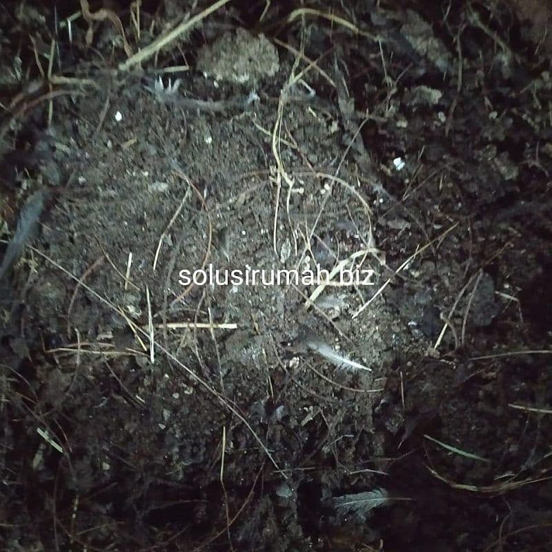 kotoran burung sriti perkilo seriti pupuk organik 1kg 1 kg penyubur