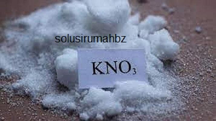PUPUK PEMBUAHAN PN PRILL KNO3 CAP PAK TANI 2KG