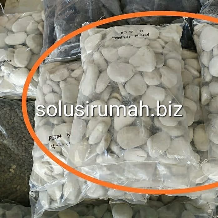 BATU ALAM PEBBLE PUTIH 40-60MM KORAL HIAS PUTIH KUPANG PER 1KG batu