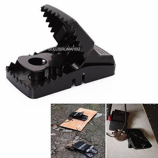Perangkap Tikus 77x142x95 mm Jebakan Besar Jumbo not joni cat jepitan