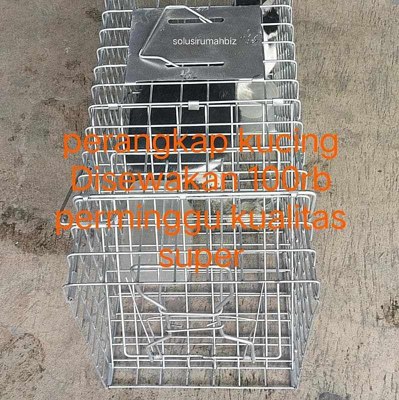 deposit untuk sewa saja kurungan kucing super kualitas perangkap jebak
