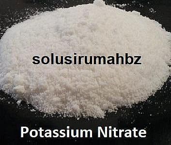 pupuk nitrate 1kg kalium kno3 bubuk powder halus pertanian