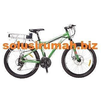 Dignity Sepeda Listrik Selis Type Motion Hijau