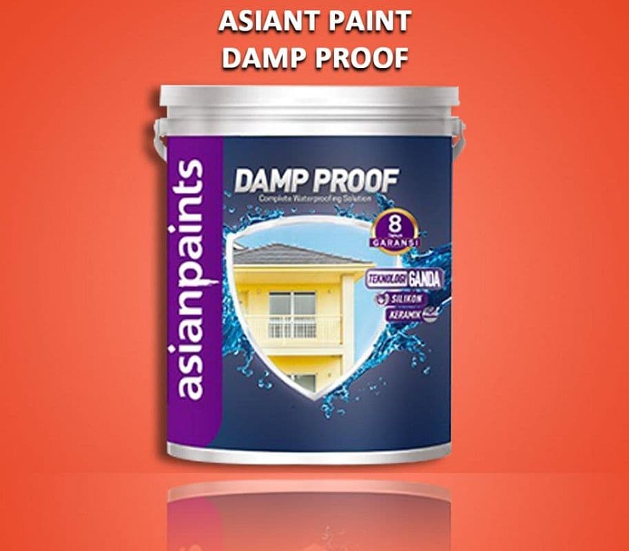 Asian Paints Damp Proof Silikon Base Waterproofing untuk Area Terendam Bisa Cat Perlindungan Tahan Air Bahan Silikon Keamanan dan Kualitas