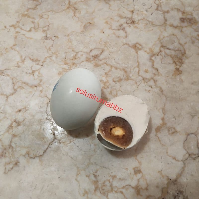 telur asin matang cangkang hijau perbutir + bubble wrap telur bebek