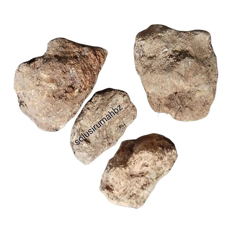 per 500 g BATU DAMAR / Getah Damar Resin Batu Selo Natural gum MATA KUCING 500GR damarselo